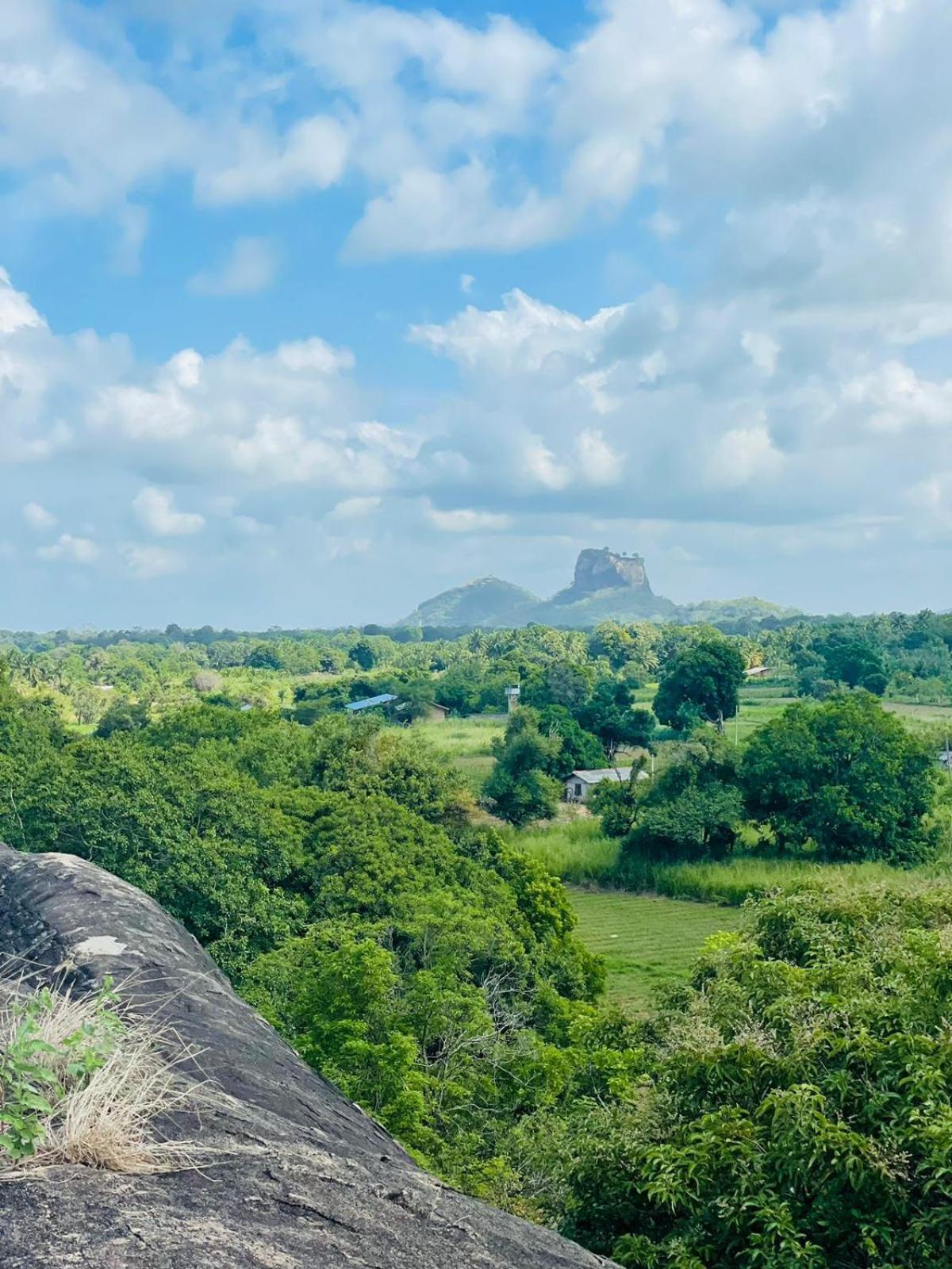 Birdwing Sigiriya Exterior foto