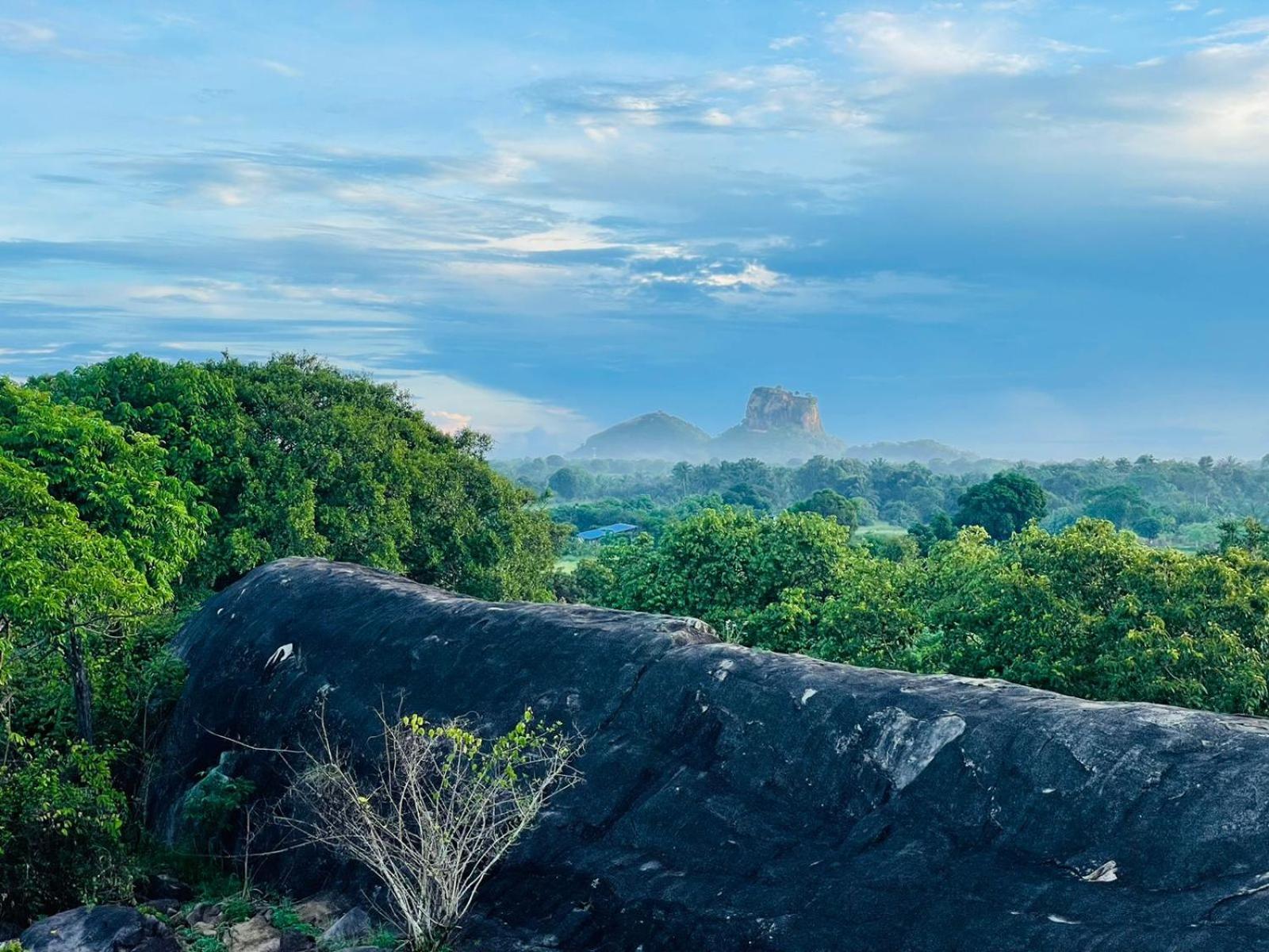 Birdwing Sigiriya Exterior foto