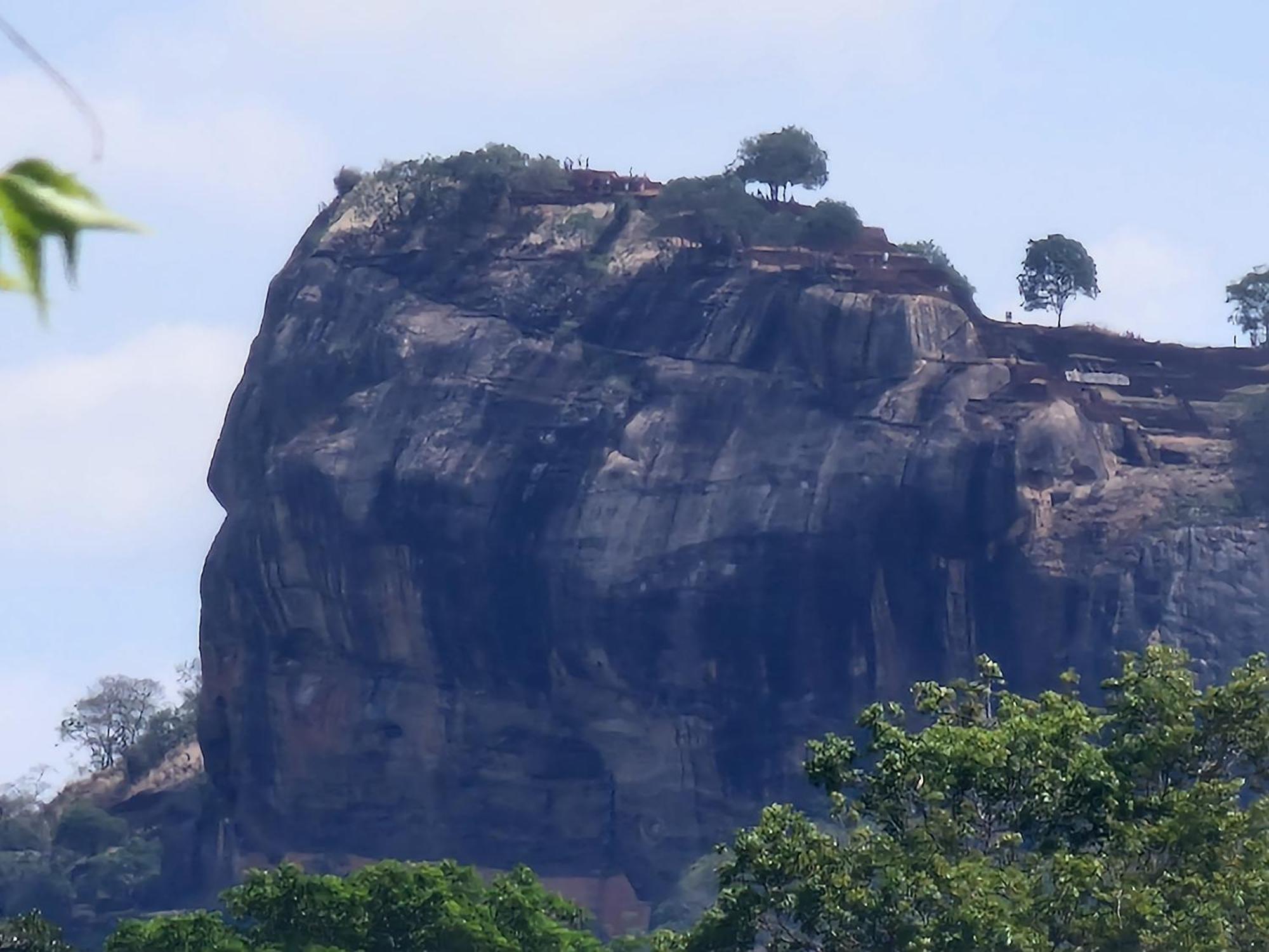 Birdwing Sigiriya Exterior foto